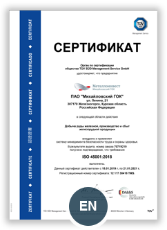 стб iso 45001 2020 образец